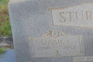 Sussie E. Sturdivant Sussie E. Sturdivant