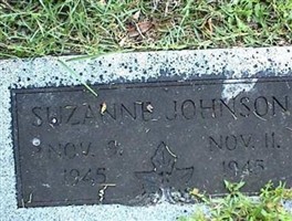 Suzanne Johnson