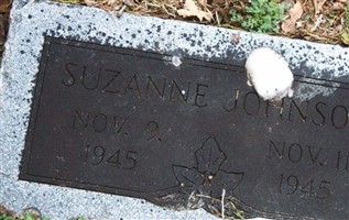 Suzanne Johnson
