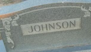 Suzanne Johnson Davis Suzanne Johnson Davis