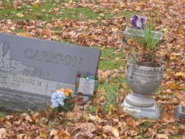Suzanne M Carigon Suzanne M Carigon