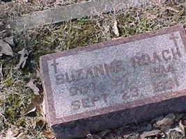 Suzanne Roach