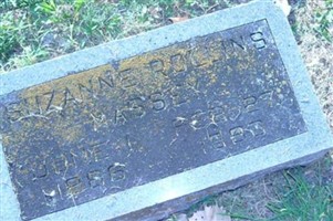 Suzanne Rollins Massey
