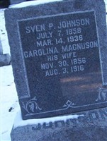 Sven P Johnson