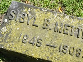 Sybil B Mettler Sybil B Mettler