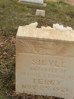 Syble Terry Syble Terry