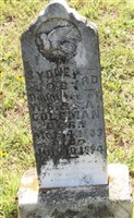 Sydney Byrd Coleman