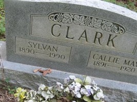 Sylvan H. Clark