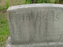 Sylvanus Washington Bridges
