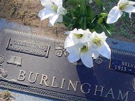 Sylvia Burlingham Sylvia Burlingham