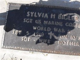Sgt Sylvia Hartwell Gould Bigler Sgt Sylvia Hartwell Gould Bigler