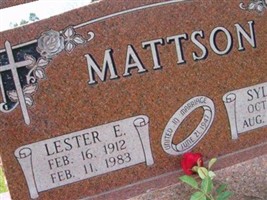 Sylvia Jelinek Mattson Sylvia Jelinek Mattson