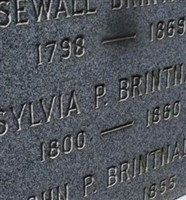 Sylvia P Brintnall