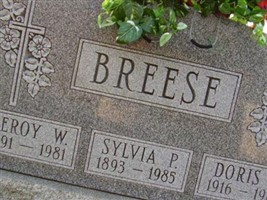 Sylvia Pearl Rutan Breese Sylvia Pearl Rutan Breese