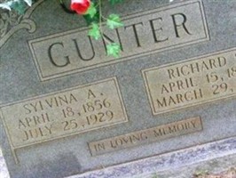 Sylvina A Gunter