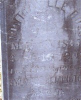 Sylvina Remington Ross Sylvina Remington Ross