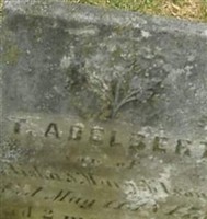 T. Adelbert Nelson T. Adelbert Nelson