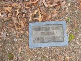 Tabitha Jane Morris