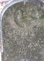 Tabitha Toone