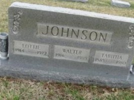 Tabitha V Johnson