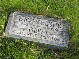 Taffy Cloud