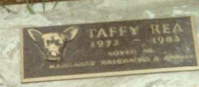 Taffy Rea Neighbors