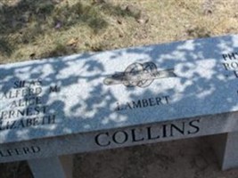 Talferd Gabriel Collins Talferd Gabriel Collins