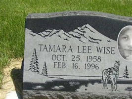 Tamara Lee Wise Tamara Lee Wise