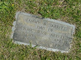 Tammy B. Jarrett