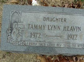 Tammy Lynn Heavin Tammy Lynn Heavin