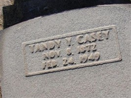Tandy Y Casey