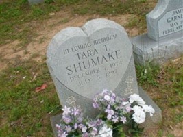 Tara T Shumake