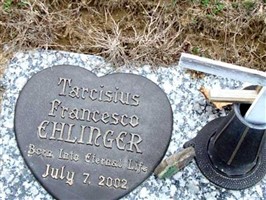 Tarcisius Francesco Ehlinger