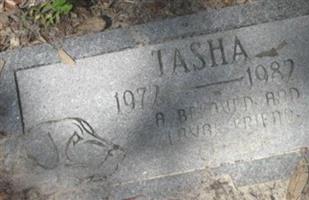 Tasha