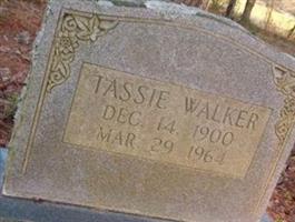 Tassie Walker