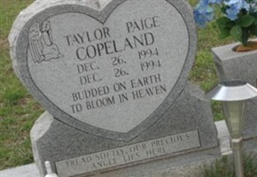 Taylor Paige Copeland Taylor Paige Copeland