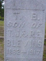 T B Blevins T B Blevins