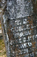 T. B. Curlee T. B. Curlee