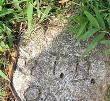 T. D. Mooneyham T. D. Mooneyham