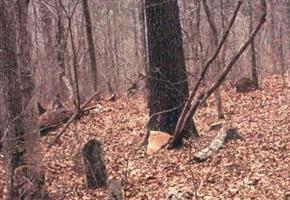 Teague Cemetery