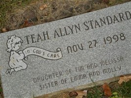 Teah Allyn Standard