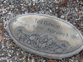 Ted Gibson Ted Gibson