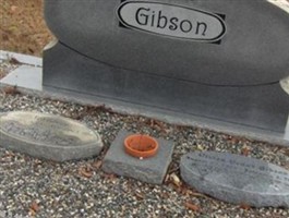 Ted Gibson Ted Gibson