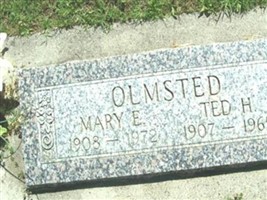 Ted H. Olmsted Ted H. Olmsted