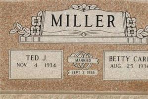 Ted J. Miller