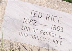 Ted Rice Ted Rice