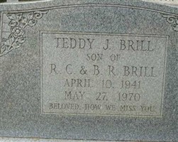 Teddy J. Brill Teddy J. Brill