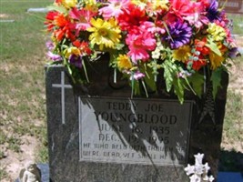 Teddy Joe Youngblood