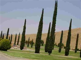 Tehachapi Public Cemetery - Eastside