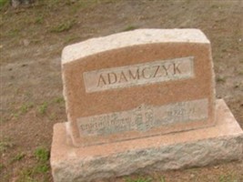 Tekla J Adamczyk Tekla J Adamczyk